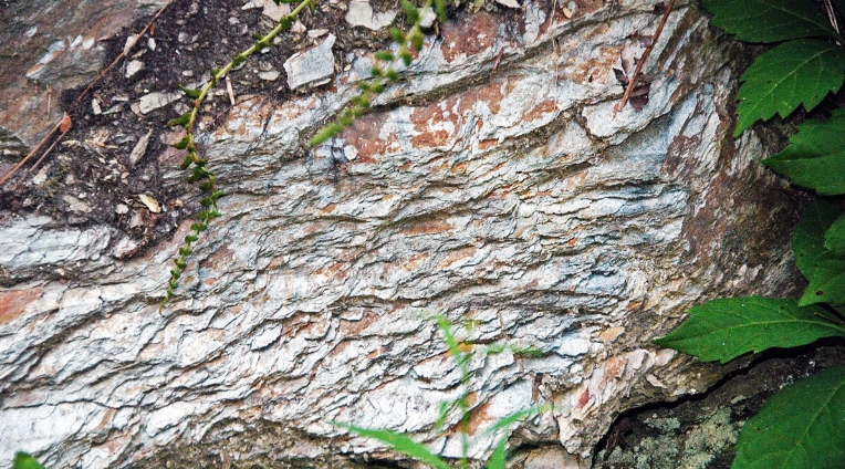 green phyllite