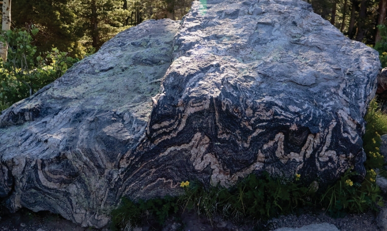 types of gneiss
