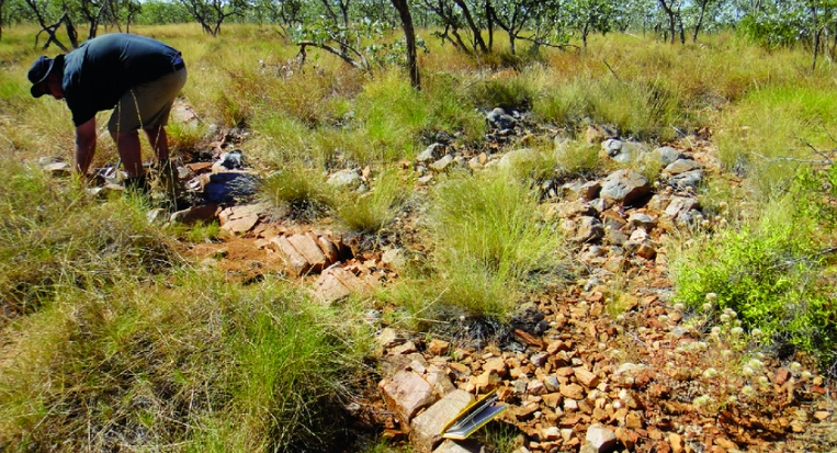 psammitic schist