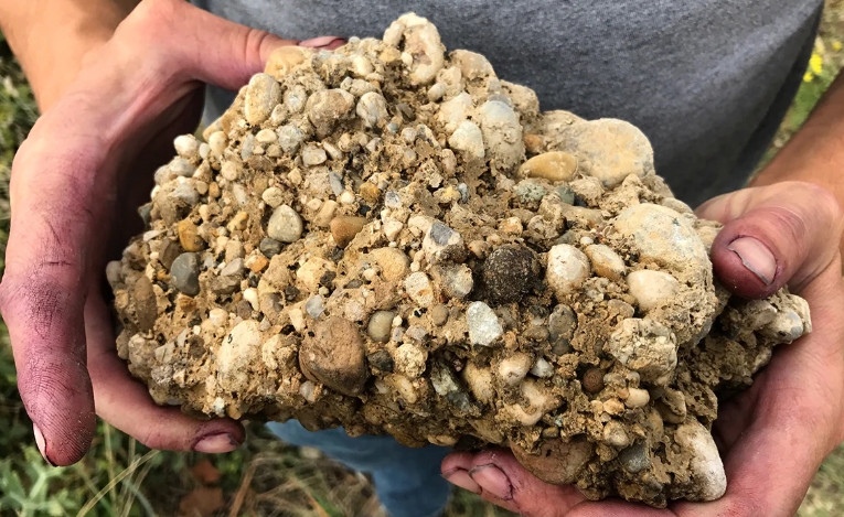 types of schist