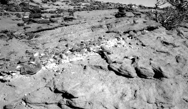 five theories of diastrophism