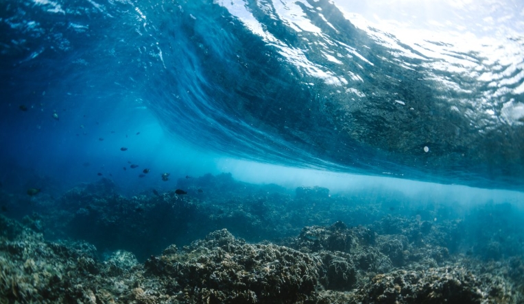 biggest ocean