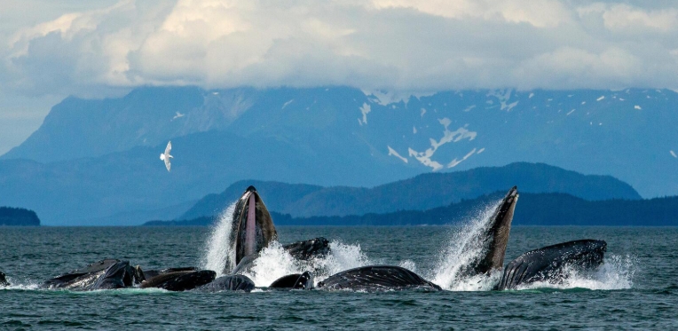 big ocean