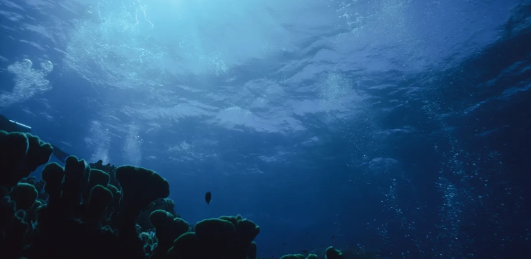 ocean floor