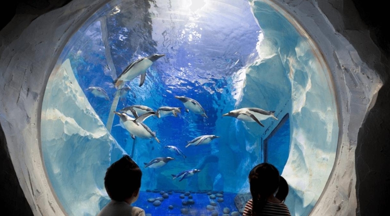 ocean centre