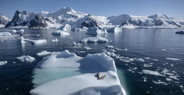 antarctic ocean