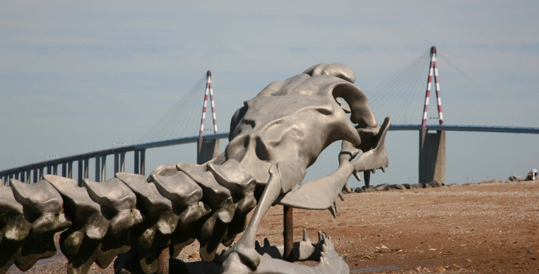 le serpent d océan