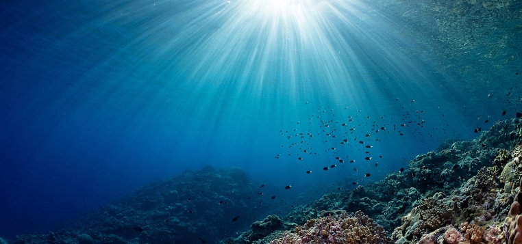 acidification