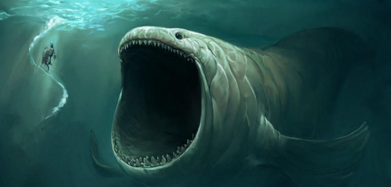 ocean creatures