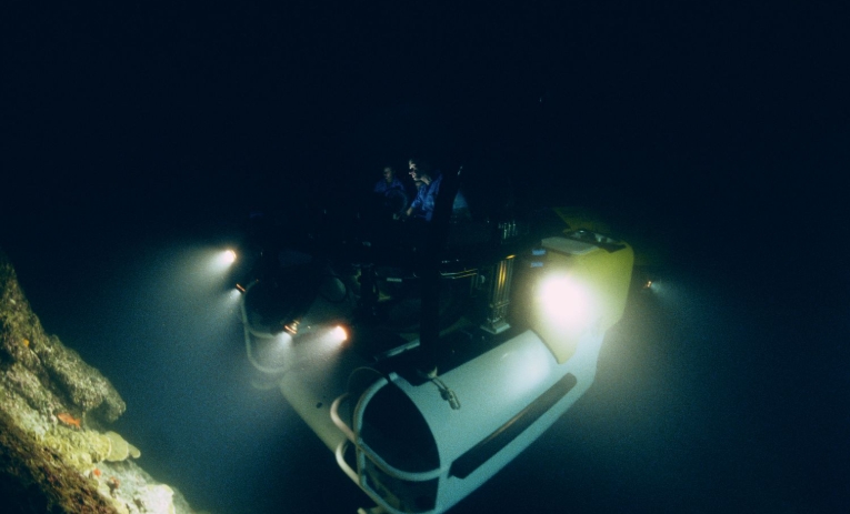 the deep sea
