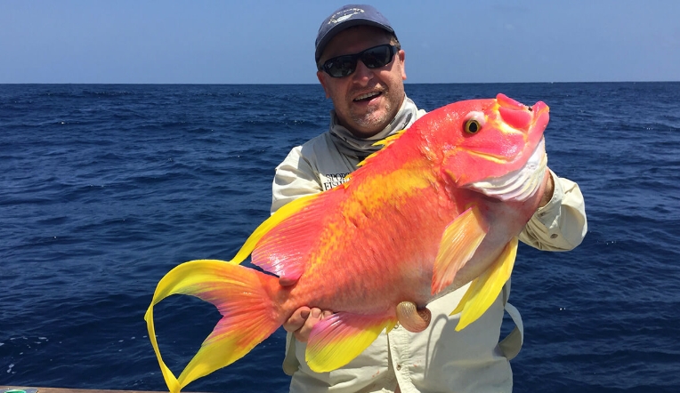 ocean fish