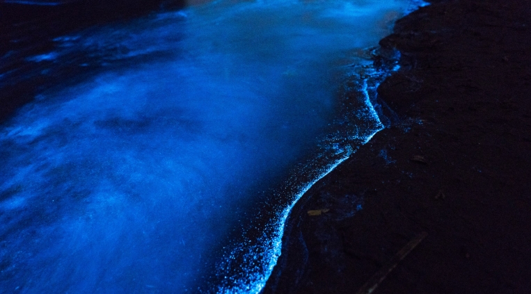 glowing ocean