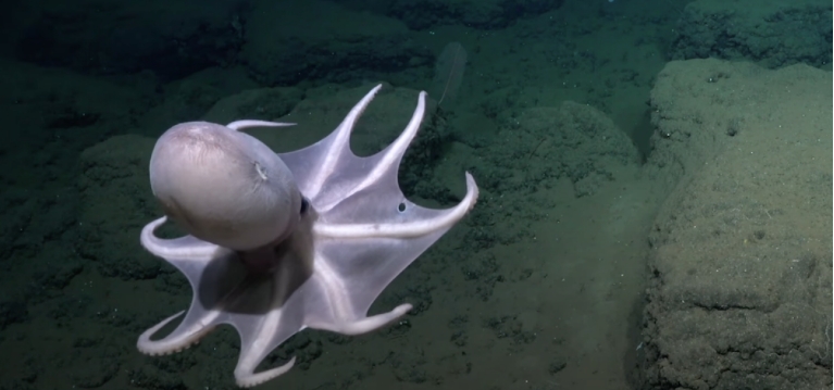 deepest sea in the world