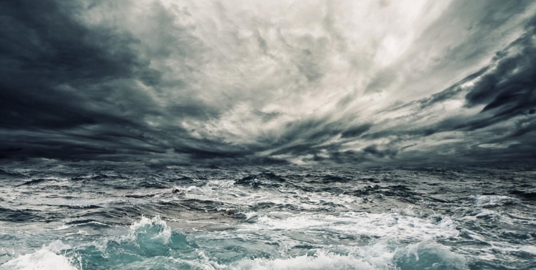 wild ocean