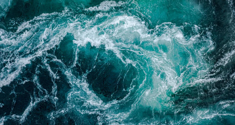 ocean data view