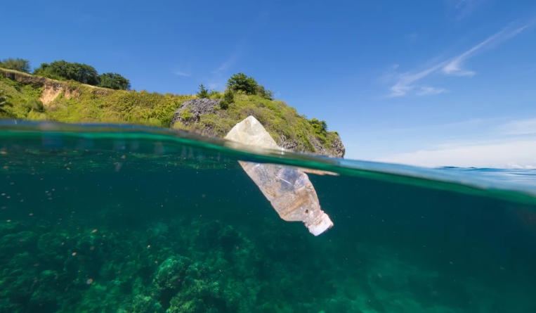ocean conservancy