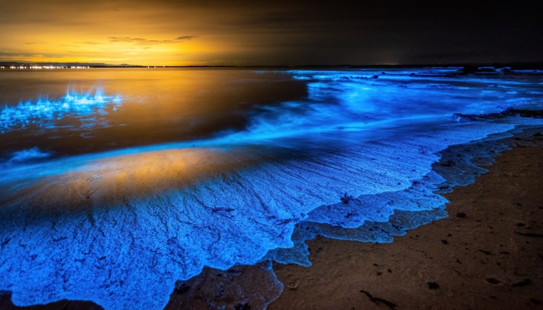 ocean at night