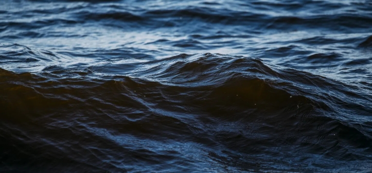 oceans and seas of the world