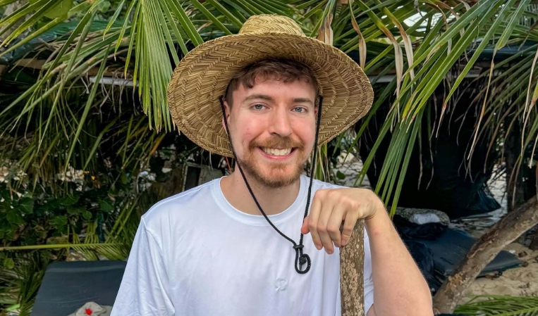 teamseas mrbeast