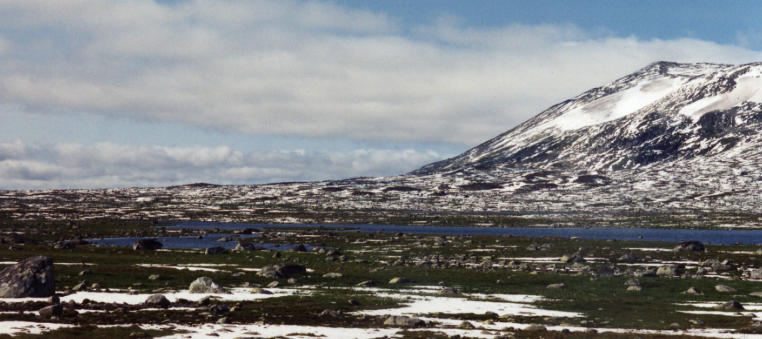 Why Norway Has Unique Geographical Diversity