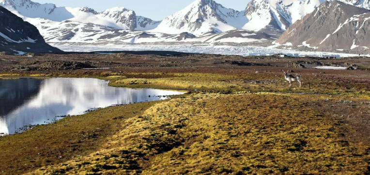 The Geography of Arctic Wildlife in Norway