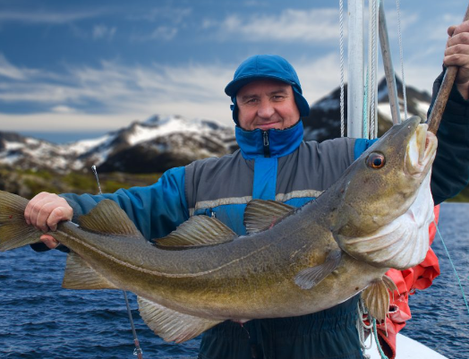 How Coastal Geography Affects Norwegian Fishing