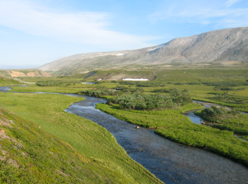 Understanding Norway’s Tundra Regions