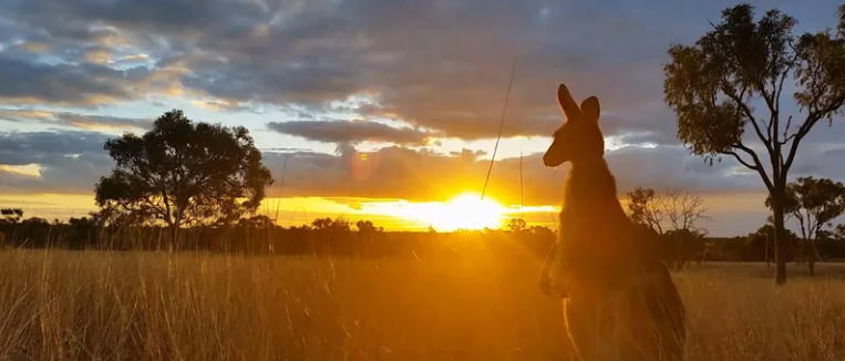 The Formation of Australia’s Desert Plateaus