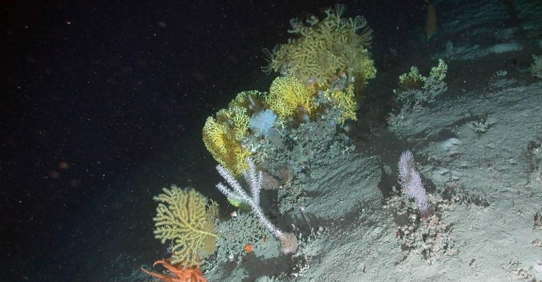 The Geology of the Bight’s Underwater Canyons