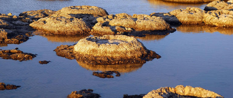 The Oldest Evidence of Life Found in Western Australia