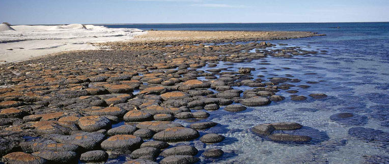 The Geology of Australia’s Coral Coast