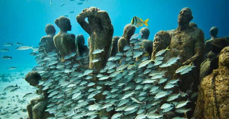 The Ancient Coral Reefs Turned to Rock