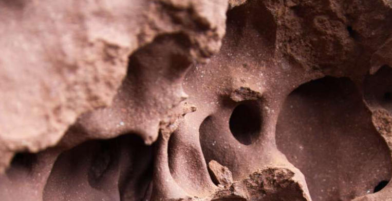 How Time Sculpted the Cathedral Termite Mounds