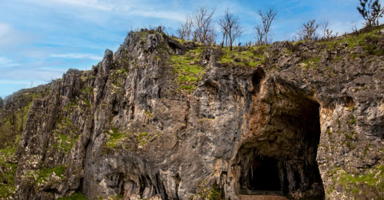 The Caves and Sinkholes of the Nullarbor