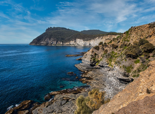 The Fossil Cliffs of Tasmania