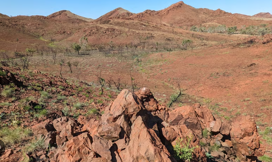 The Geological Features of the Pilbara Craton
