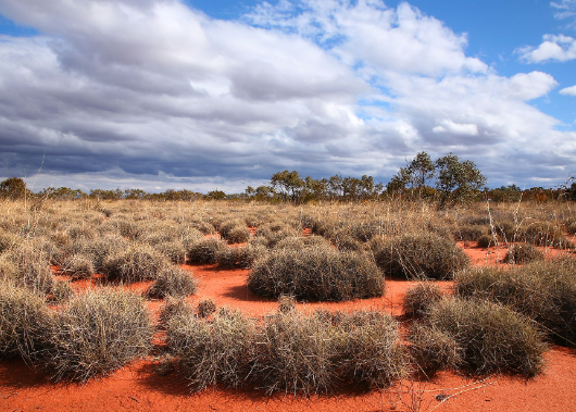 The Secrets of the Great Victoria Desert