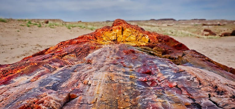 The Petrified Logs of Arizona’s Painted Desert