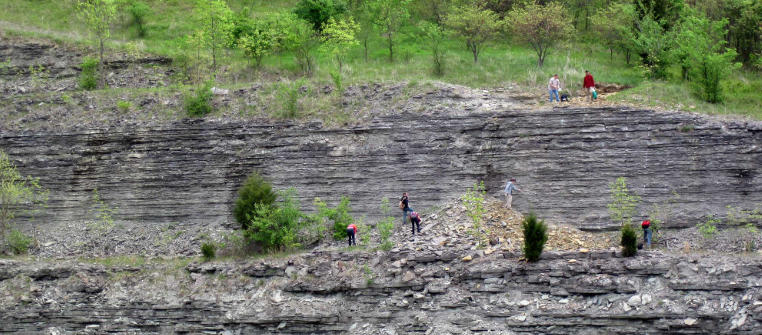 The Sedimentary Rocks of the Appalachians