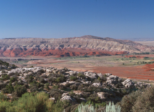 Understanding the Great Basin Desert