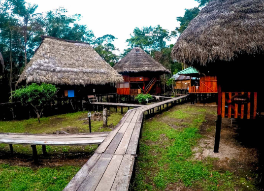 Amazon rainforest eco-tourism travel guide and routes