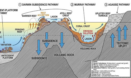 Brazil offshore islands volcanic and coral formation study