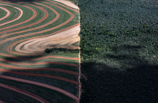 Cerrado deforestation agricultural expansion environmental impact