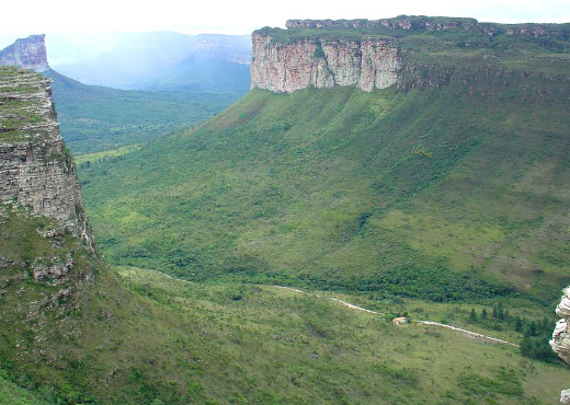Chapada Diamantina biodiversity and cerrado transition zone
