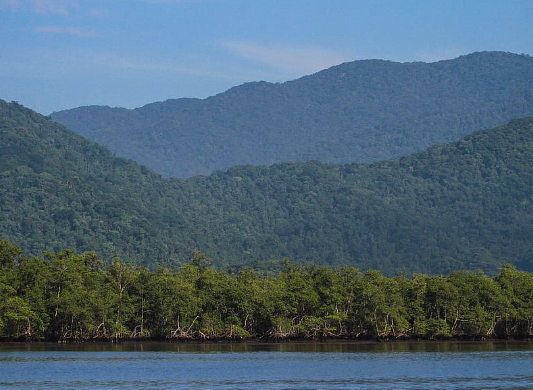 Serra do Mar coastal cliffs and rainforest transition zone