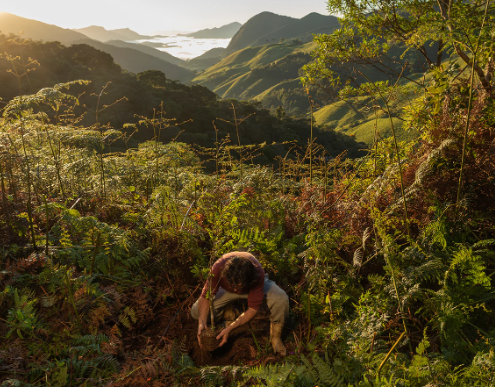 Atlantic Forest urban encroachment environmental challenges