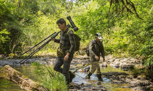 Atlantic Forest fragmentation and conservation restoration projects