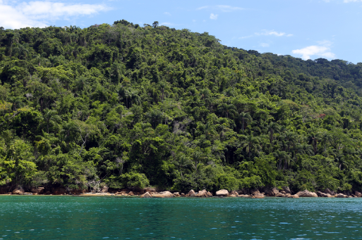 Atlantic Forest biodiversity hotspot endangered ecosystem overview