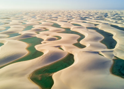Lençóis Maranhenses freshwater lagoon ecosystem explanation