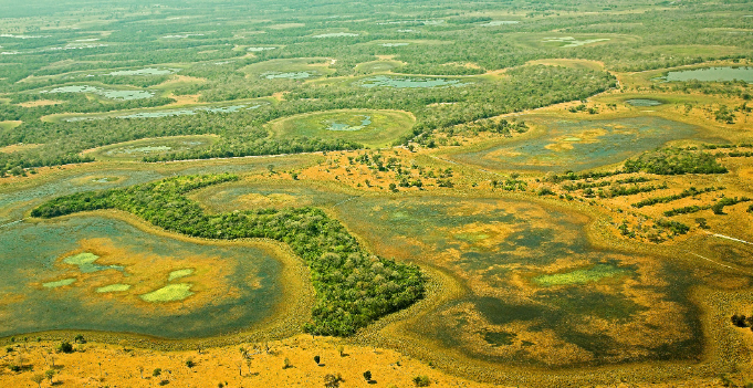 Pantanal biodiversity conservation and environmental threats